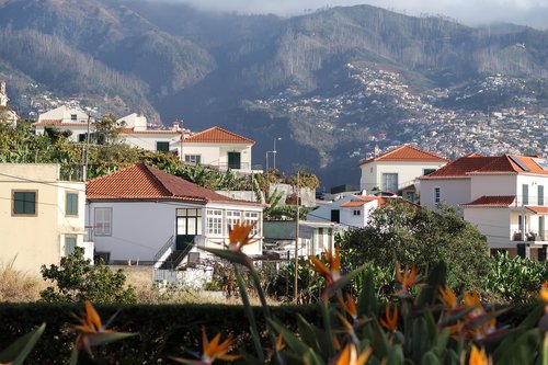 Madeira,  Namas,  Miestas,  Architektūra,  Stogo,  Kelionė