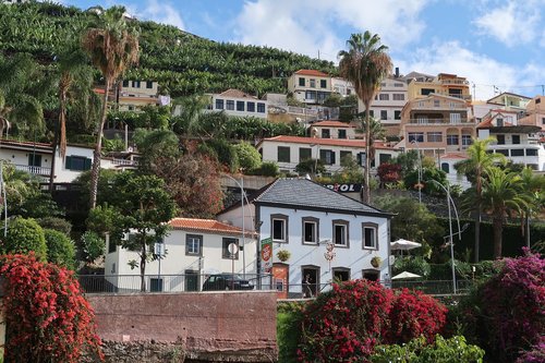 Madeira,  Namai,  Kalnas