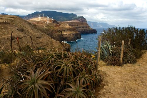 Madeira, Kraštovaizdis, Pietinė Pakrantė, Uolos Pakrantė, Alijošius