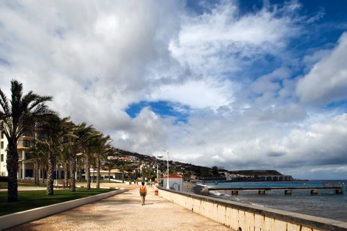 Madeira, Santa Cruz, Papludimys