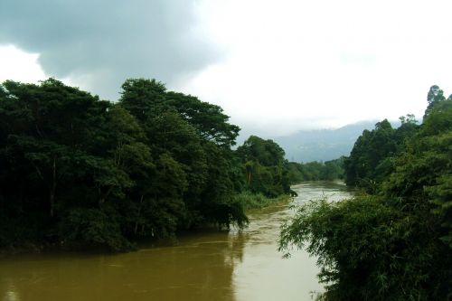 Mahaweli Upė, Upė, Žali Medžiai, Dangus, Debesuota Dangaus, Šri Lanka, Ceilonas, Užtvindyta Upė, Potvynis, Peradeniya