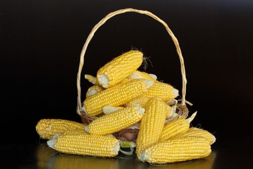 Kukurūzai, Maitinimas, Kukurūzai, Cukriniai Kukurūzai, Geltona, Krakmolas, Angliavandeniai, Grūdai, Ūkio Produkcija