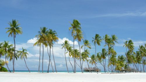 Maldyvai, Salos Rojus, Papludimys, Šventė, Lankanfushi