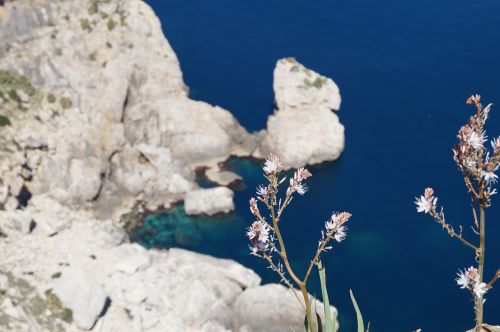 Maljorka, Dangtelis Formentor, Gamta, Rokas, Gėlės, Jūra