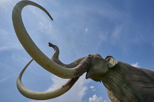 Mamutas,  Dinozauras,  Išnykusi,  Priešistorinių Kartus,  Replika,  Dino