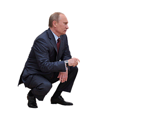 Vyras, Stilingas, Žmonės, Putin, Prezidentas, Rusija