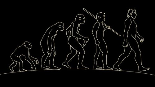 Vyras,  Žmogus,  Evoliucija,  Kūnas,  Priešistorė,  Antropologija,  Primatų,  Nemokama Iliustracijos