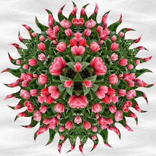 Mandala, Modelis, Tulpės, Ornamentas, Dekoratyvinis, Gėlių, Gėlės, Kaleidoskopas, Gėlių Ornamentas, Deko