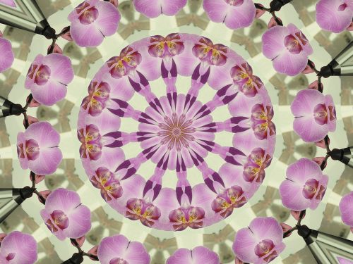 Mandala, Orchidėjos, Kaleidoskopas, Orchidėja, Violetinė, Spalvotas Žaidimas