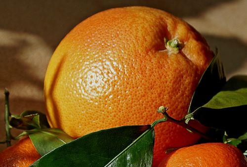 Mandarinai, Apelsinai, Vaisiai, Gamta, Oranžinė, Poringumas, Stiebas, Tropiniai Vaisiai, Saulės Atspindys