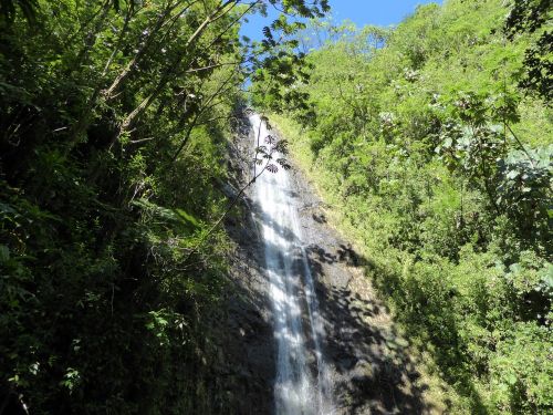 Manoa Krienai, Hawaii, Kriokliai