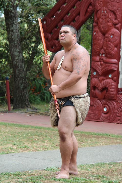 Maori, Vyras, Ietis, Kovotojas, Karys, Saldus, Ataka, Naujoji Zelandija, Kultūra, Tradicija, Waitangi, Atsiranda, Vaidyba, Demonstracija