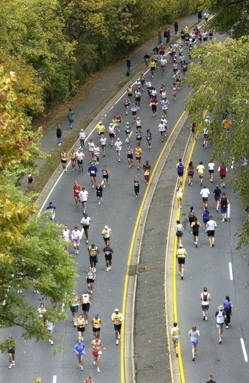 Maratonas, Bėgikai, Ilgas Atstumas, Vašingtonas, Kritimas, Ruduo, Vyrai, Moterys, Pratimas, Tikslas, Varzybos, Lenktynės, Gamta, Lauke, Medžiai, Kelias, Greitkelis