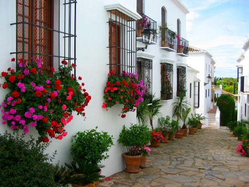 Marbella, Namas, Balta, Ispanija, Gatvė, Gėlės