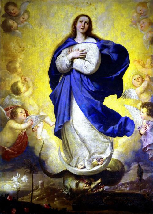 Marija, Nepriekaištingas, Katalikų