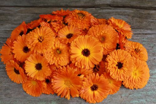 Marigolds, Pavasaris, Liuteinas, Oranžinė Gėlė, Puokštė