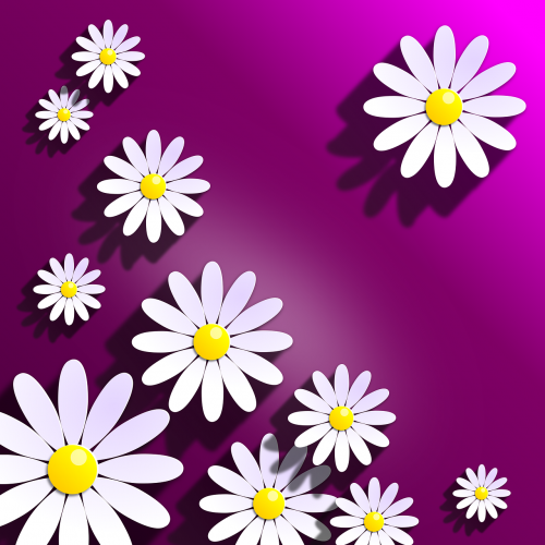 Marigolds, Rozės, Gėlės, Gėlė, Gėlių, Gėlė, Šešėliai, 3D, Sodas, Gamta, Pavasaris, Žiedlapis, Geltona, Amorous, Violetinė, Violetinė