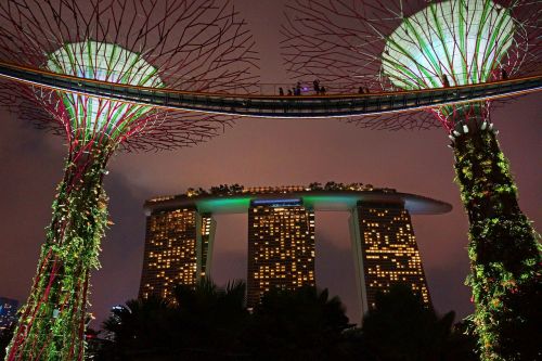 Marina Bay, Didelis Medis, Sodai Prie Įlankos, Singapūras, Naktis, Žibintai