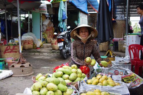 Turgus, Saigon, Mekongas