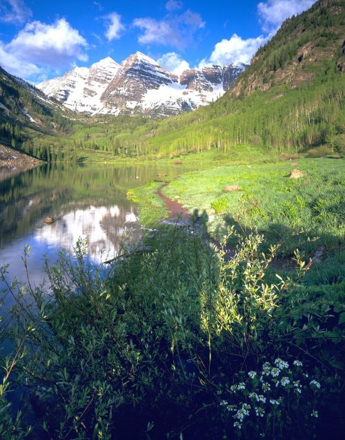 Marooniniai Varpai, Aspen, Colorado, Kalnai, Kritimo Spalvos