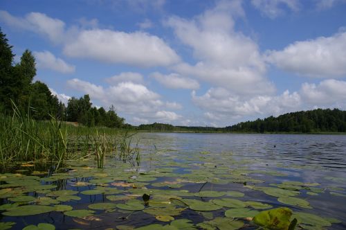 Masurija, Ežeras, Vanduo, Gamta, Kraštovaizdis, Tvenkinys, Lenkija, Kelionė