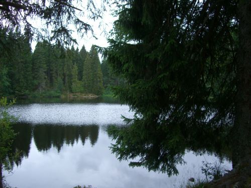 Mathisleweiher, Pelkės Ežeras, Veidrodis, Eglės, Hinterzarten, Juodasis Miškas