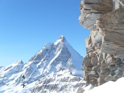 Matterhorn,  Vakarinė Siena,  Monte Cervinho,  Alpės,  Italija