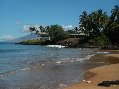 Maui, Hawaii, Papludimys