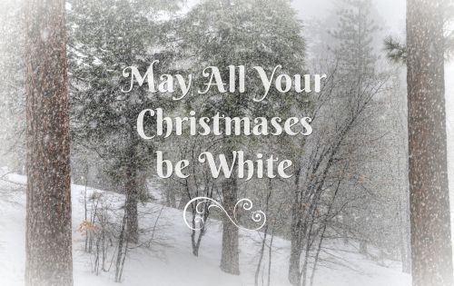 Kalėdos,  Xmas,  Balta,  Miškas,  Sniegas,  Žiema,  Sniegas,  Balta & Nbsp,  Kalėdos,  Pasveikinimas,  Gali Visi Jūsų Kalėdos Būti Balti
