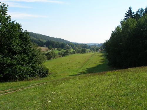 Pieva, Vasara, Miškas, Kraštovaizdis, Gamta