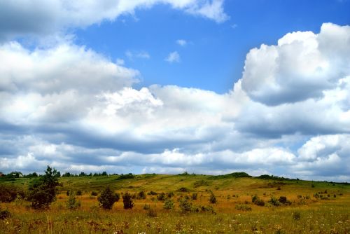 Pieva, Žolė, Gamta, Žalias, Stiebas, Kraštovaizdis, Fonas, Vaizdas, Augalas, Kielce, Lenkija