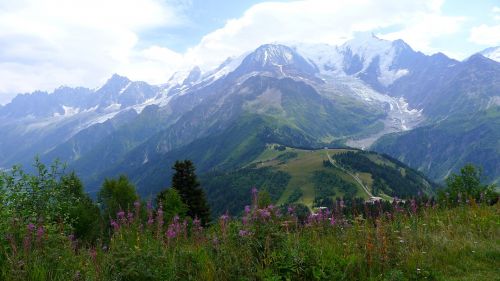 Pieva, Alpe, Hautes Alpes, Kraštovaizdis, Gamta, Vasara, Savoie, Dangus, Kalnas, Gėlės, France