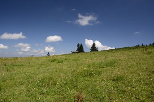 Pieva, Kraštovaizdis, Gamta, Dangus, Mėlynas, Žalias, Debesys, Žolė, Vasara, Žydėti, Žole Pieva, Augalas