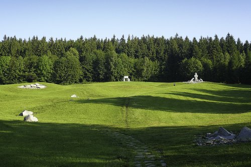 Meadow,  Žalias,  Žolė