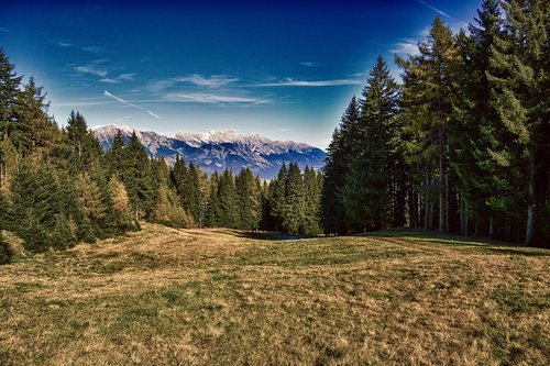 Meadow,  Miškas,  Kalnai,  Pobūdį,  Kraštovaizdis,  Tyrol