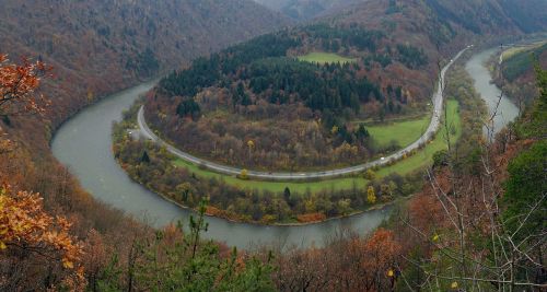 Meanderas, Fatra, Slovakija, Upė, Svėrimo Svarstyklės, Ruduo, Kelias, Šalis, Miškas, Medžiai, Gamta