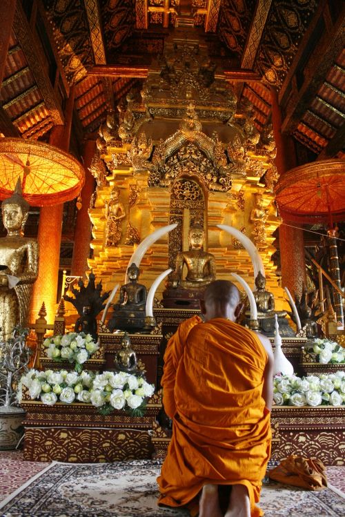 Priemonė, Vienuoliai, Tailandas, Budizmas, Religija
