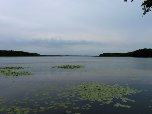 Meklenburgas, Mecklenburgische Seenplatte, Gamta, Ežeras, Nuotaika, Jašio Nacionalinis Parkas
