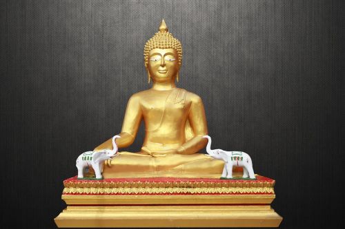 Medituoti Budą, Auksinė Buda, Zen, M, Meditacija, Asija, Budistinis, Skulptūra, Figūra, Apšvietimas, Dvasingumas, Auksas, Laimingas, Ramybė, Dvasinis, Vidinis Ramus, Budizmas