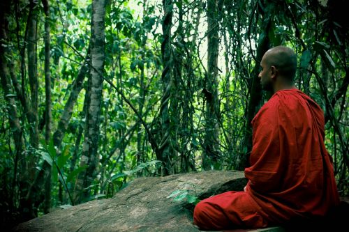 Meditacija, Bhikkhu, Mahamevnawa, Šri Lanka, Budistinis, Vienuolis