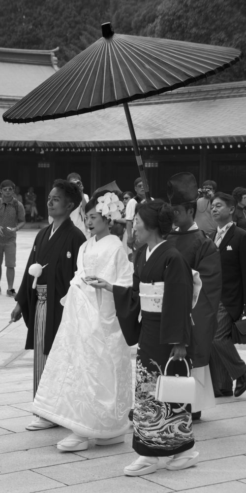 Meiji,  Šventykla,  Vestuvės,  Japanese,  Tradicinis,  Ceremonija,  Tokyo,  Japonija,  Meiji Šventovės Vestuvės