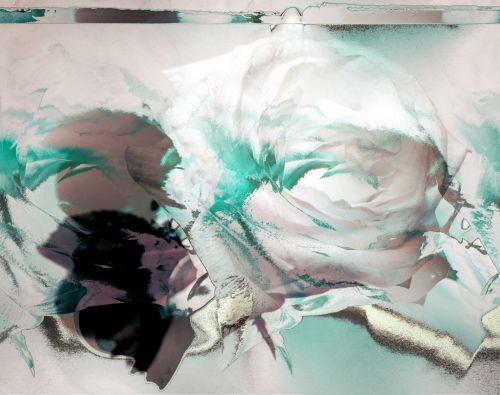 Abstraktus,  Nuotrauka,  Meno,  Apdorojimas,  Tirpstančios Rožės