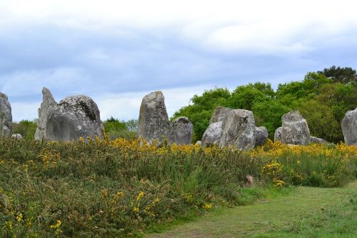 Menhiras, Menhirs, Akmenys, Carnac, Brittany, France, Derinimas, Megaliths, Žolė, Geltonos Gėlės