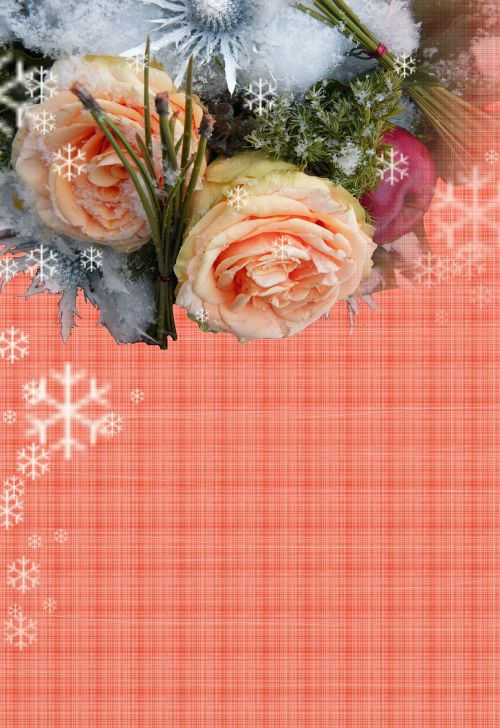 Linksmų Kalėdų, Atvirukas, Fonas, Raudona, Staltiesė, Kriauklė, Snaigės, Gėlės, Žiemos Puokštė, Žiemos Pasveikinimas