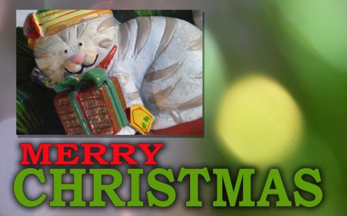 Bokeh,  Žalias,  Raudona,  Pasveikinimas,  Xmas,  Kalėdos,  Šventė,  Pateikti,  Katė,  Figūrėlė,  Meno,  Linksmas Kalėdų Sveikinimas Su Kitty