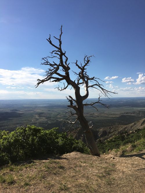 Mesa Verde, Colorado, Parkas, Uolos, Medis, Debesys, Vaizdas