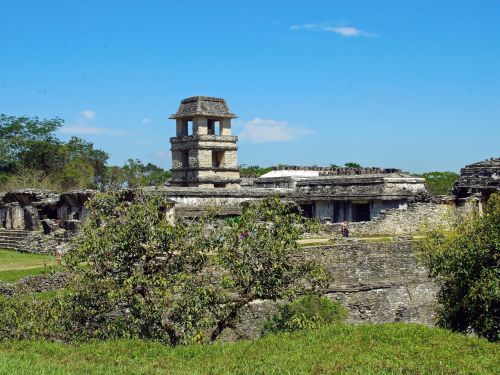 Meksika, Palenque, Griuvėsiai, Archeologija, Rūmai, Miestas, Maya