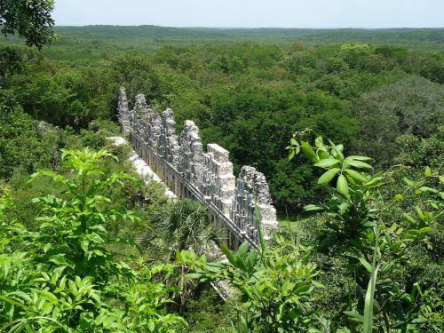 Meksika, Yukatanas, Maya, Griuvėsiai, Atogrąžų Miškai