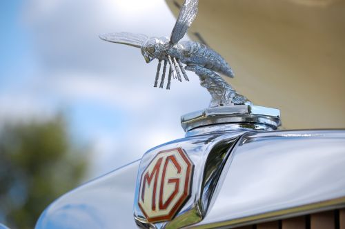 Mg, Hornet, Automobilis, Senovinis, Klasikinis, Britanija, Vintage, Transporto Priemonė, Automatinis, Automobilis, Emblema