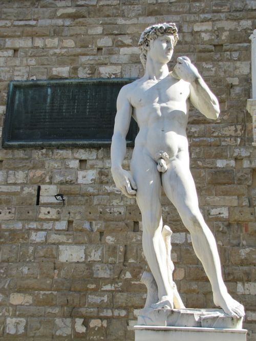 Mikelandželo Davidas, Statula, Davidės Statula